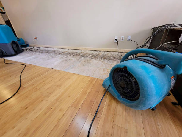 Professional Basement Flood Cleanup technician working in Olivet, MI